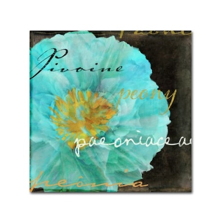 Color Bakery 'Blue Peony Dark' Canvas Art,18x18